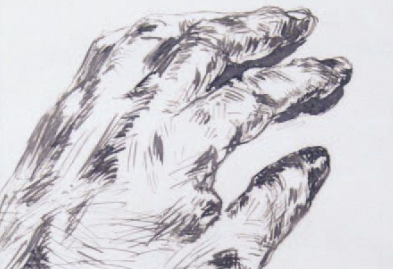 Théodule Ribot, étude de main