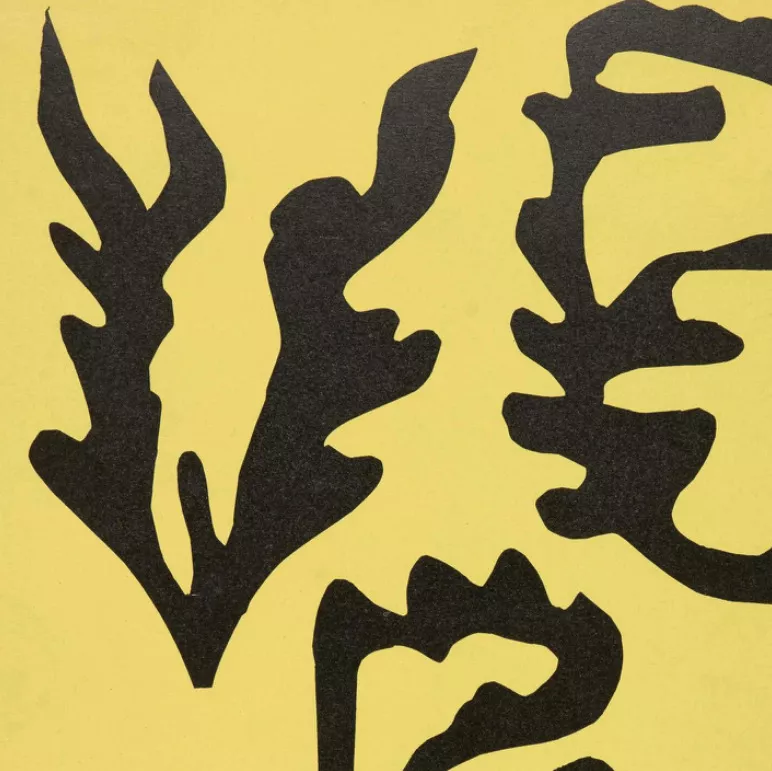 Henri Matisse, lithographie