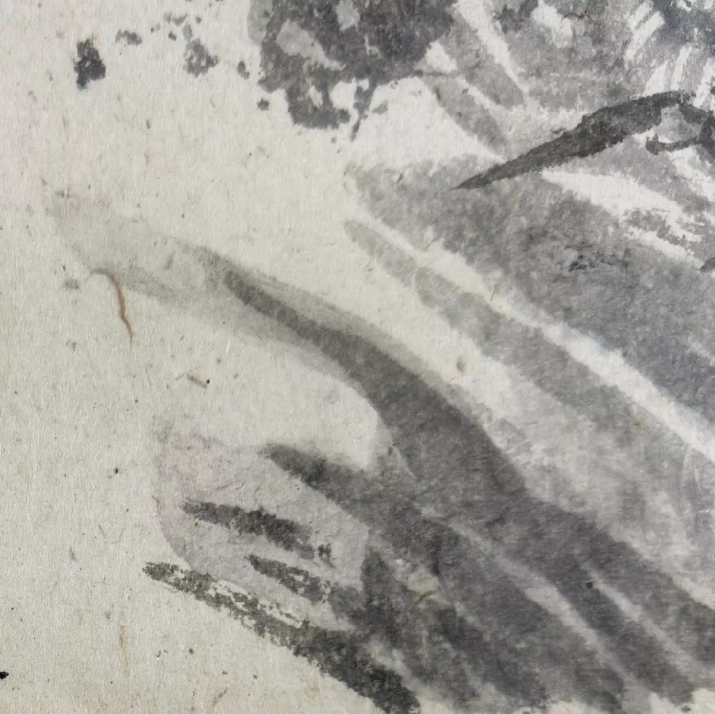 Zao Wou Ki, encre sur papier