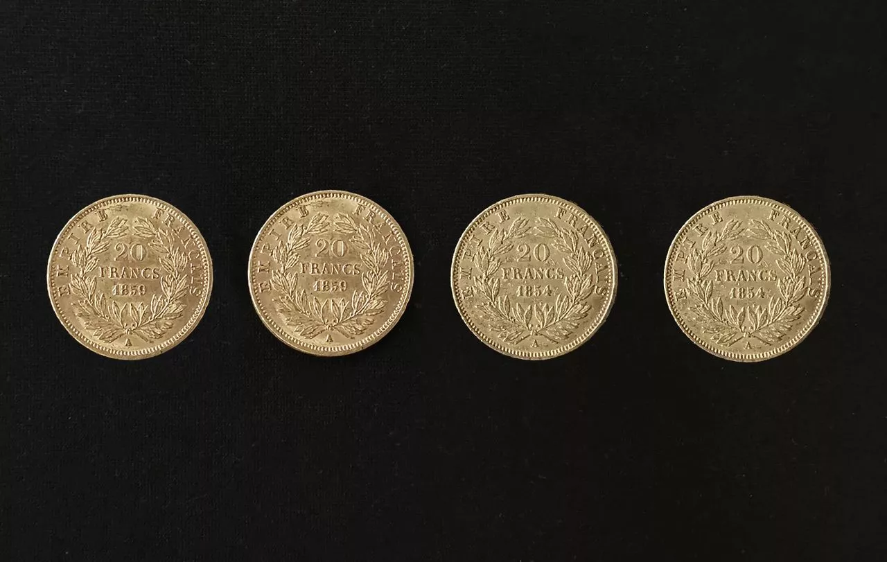 Pi&egrave;ce de 20 francs en or