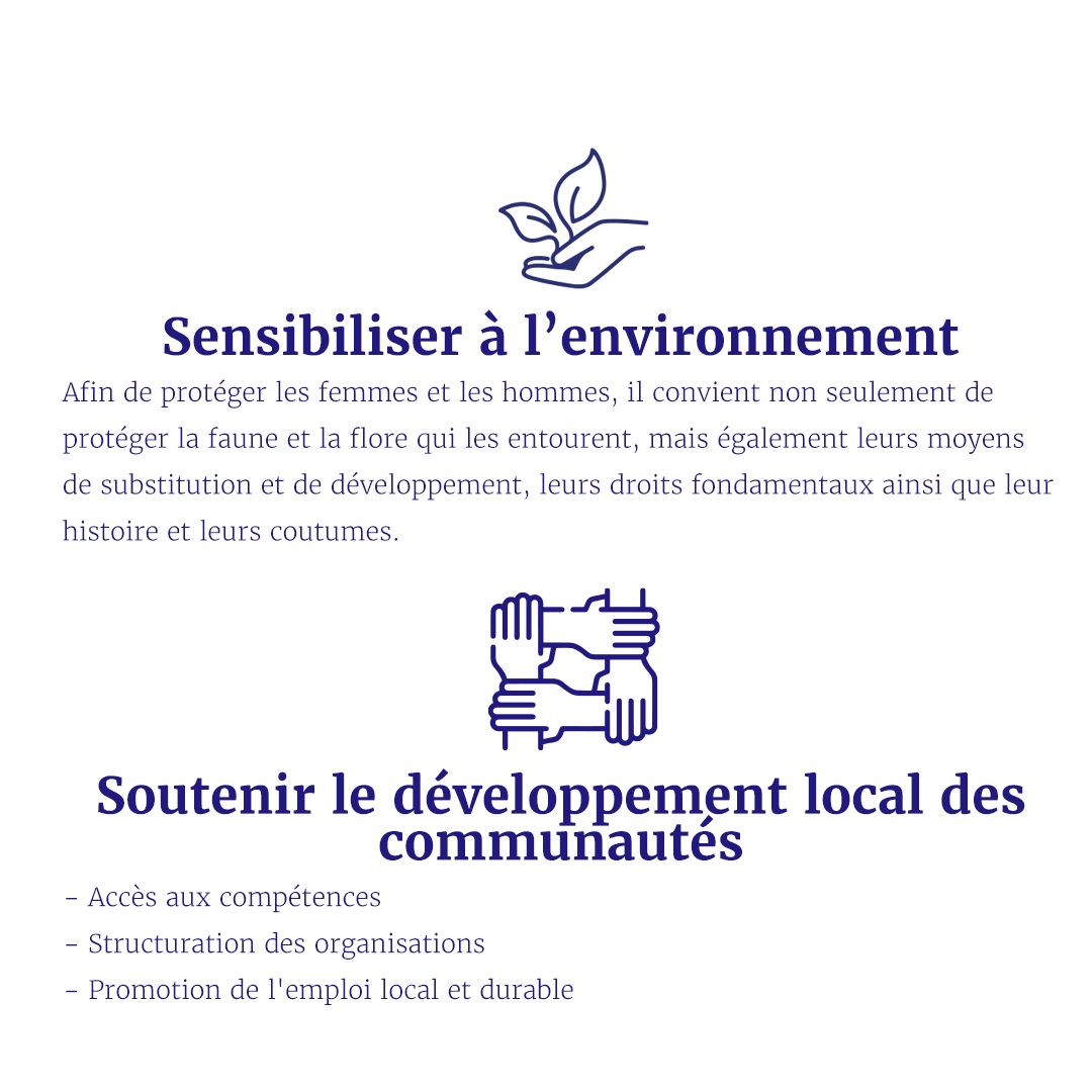Plan De Travail 1