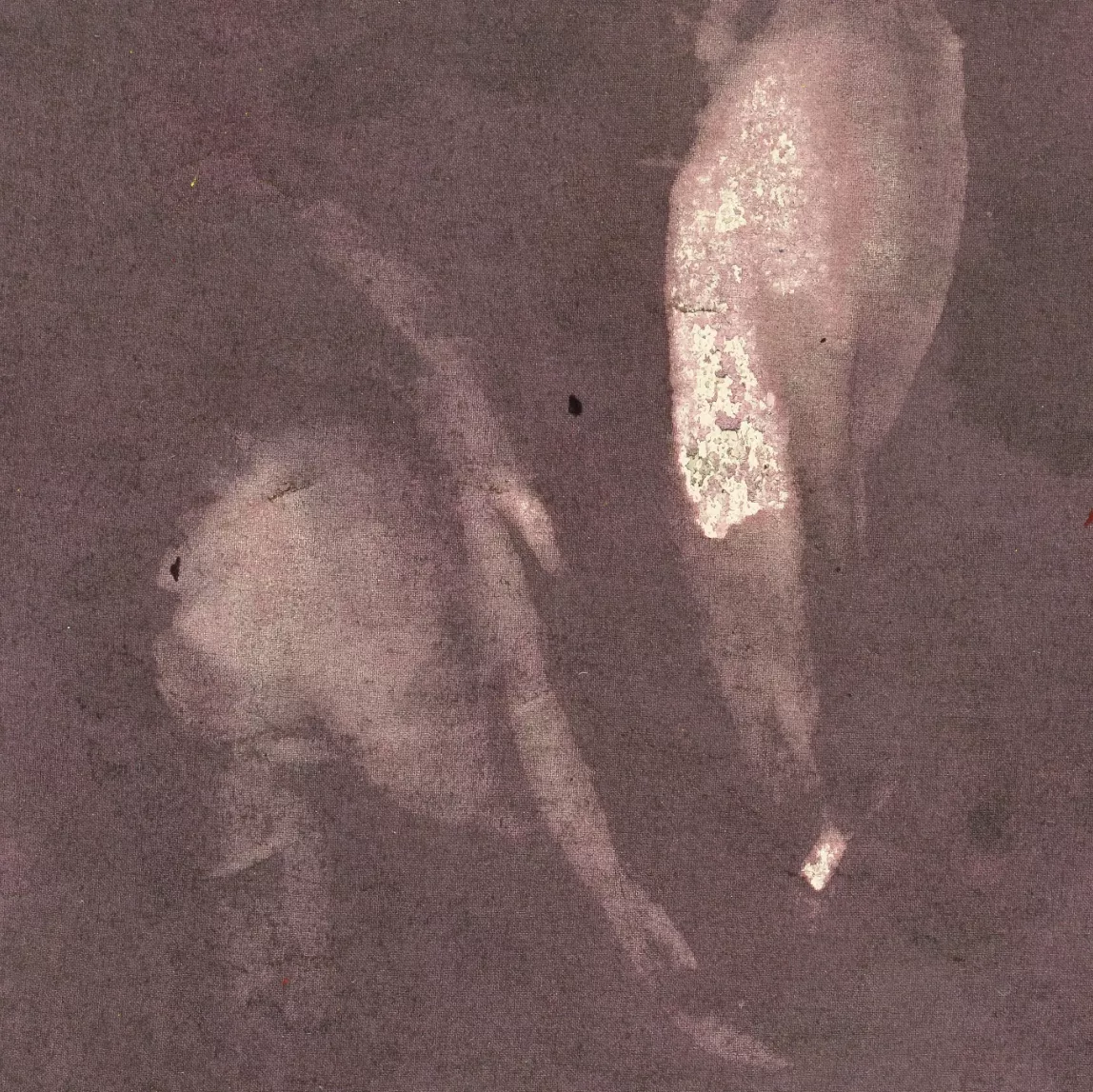 Judit Reigl, s&eacute;rigraphie