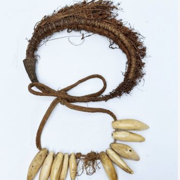 ILES SAMOA, XIXème siècle. Collier de prestige (Vuasagale ), présentant dix dents de morse, sculptées et polies, maintenues par des fibres végétales tressées et nouées