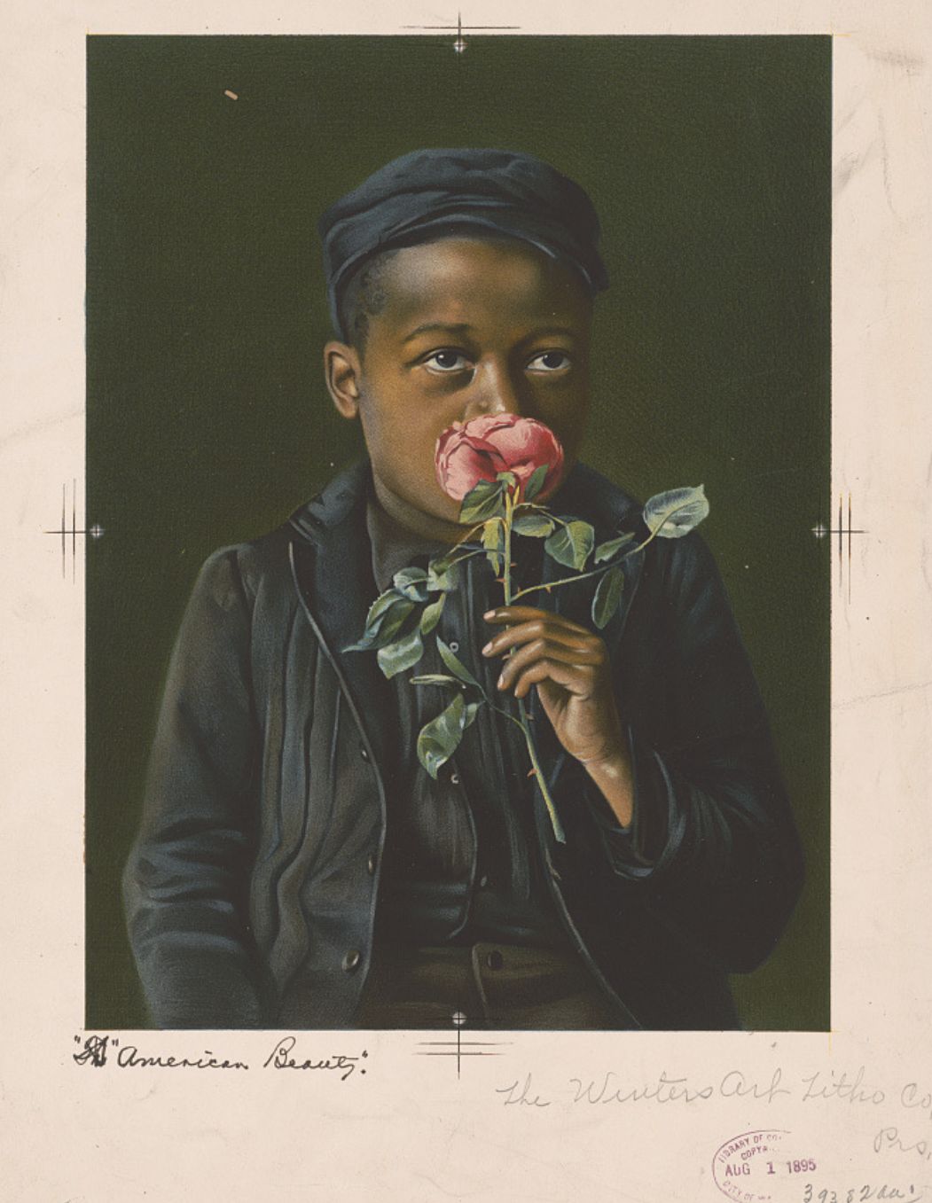 Burbank American Beauty, chromolithographie