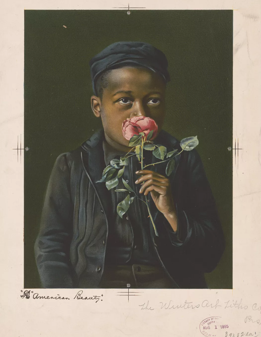 Burbank American Beauty, chromolithographie