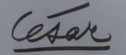 Signature de César