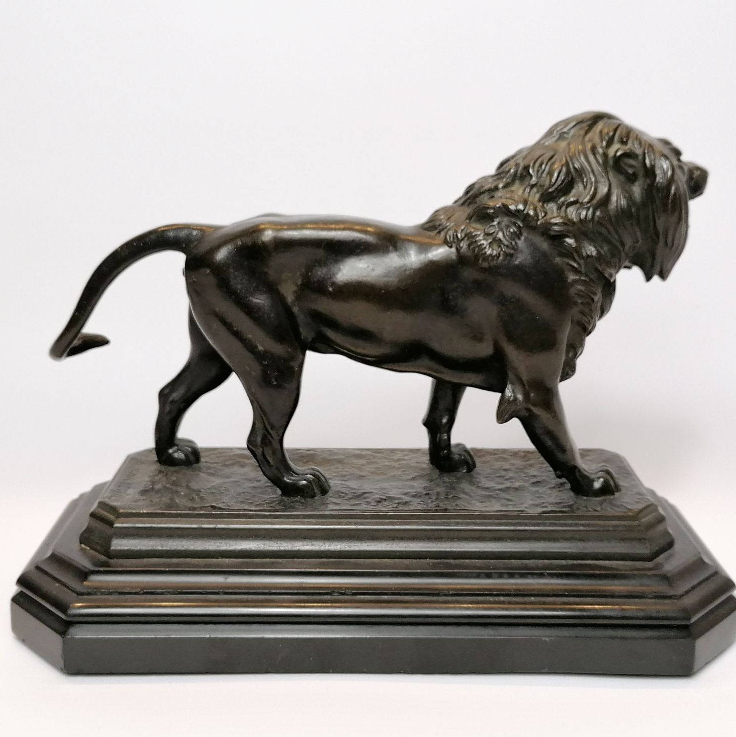 Barye, épreuve en bronze à patine brune représentant un lion, autre profil