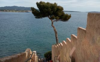 Estimation Sanary sur Mer
