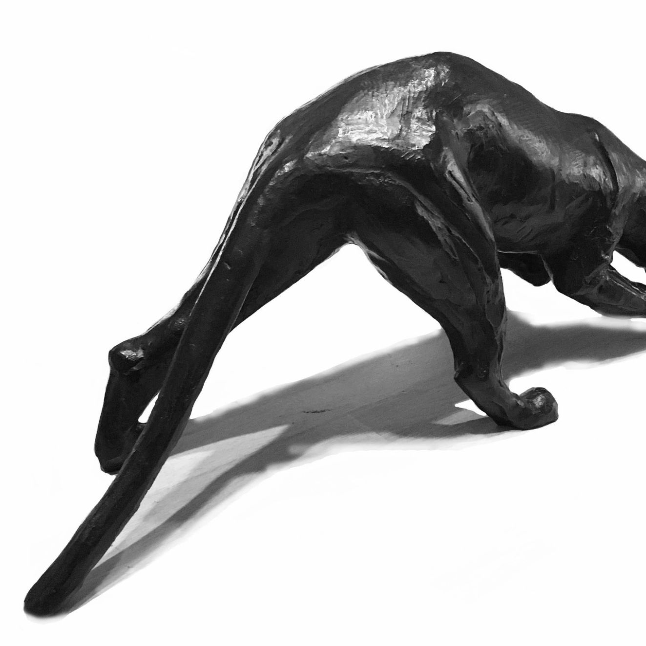 Jorge Borras, bronze