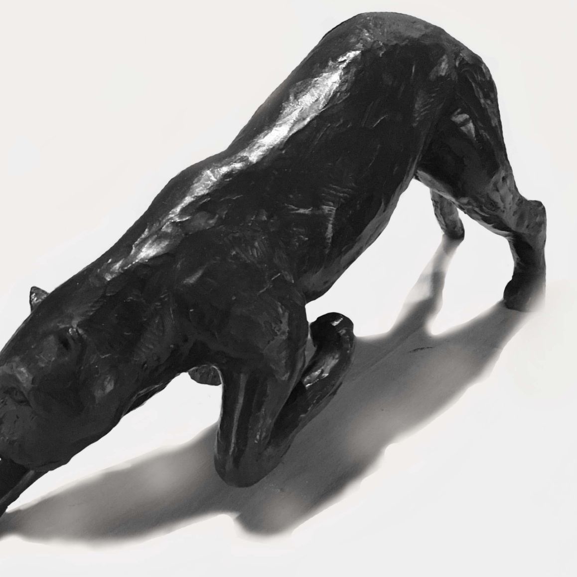 Jorge Borras, bronze