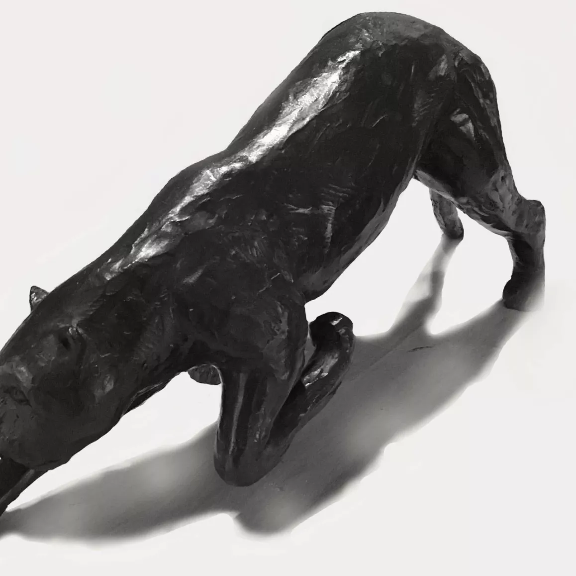 Jorge Borras, bronze