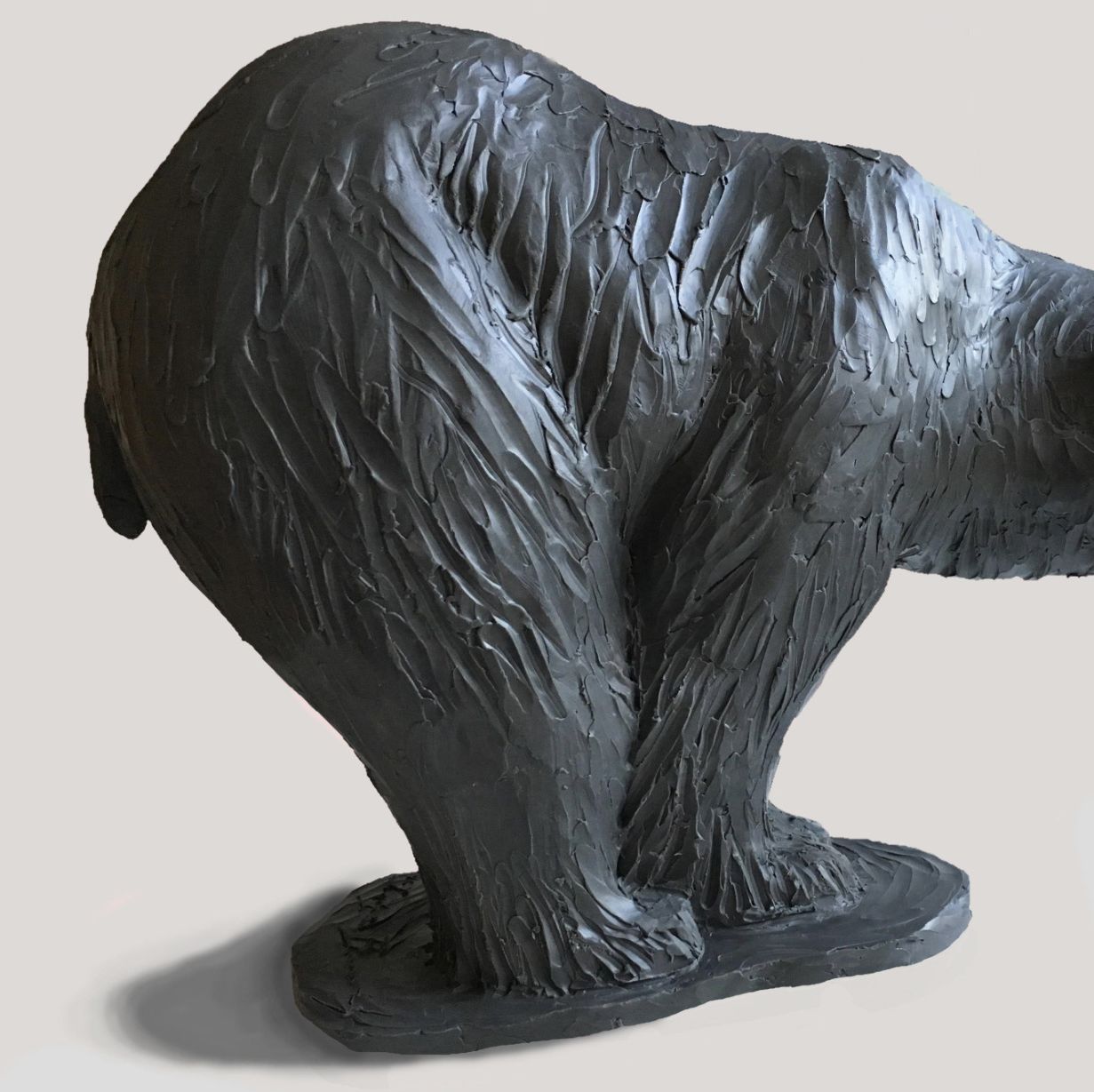 Jorge Borras, bronze