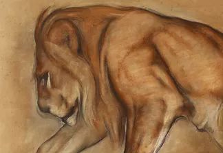 Auguste Trémont, dessin