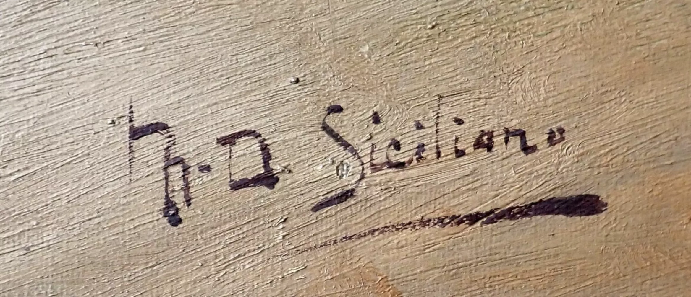 Signature de Marie Dominique Siciliano